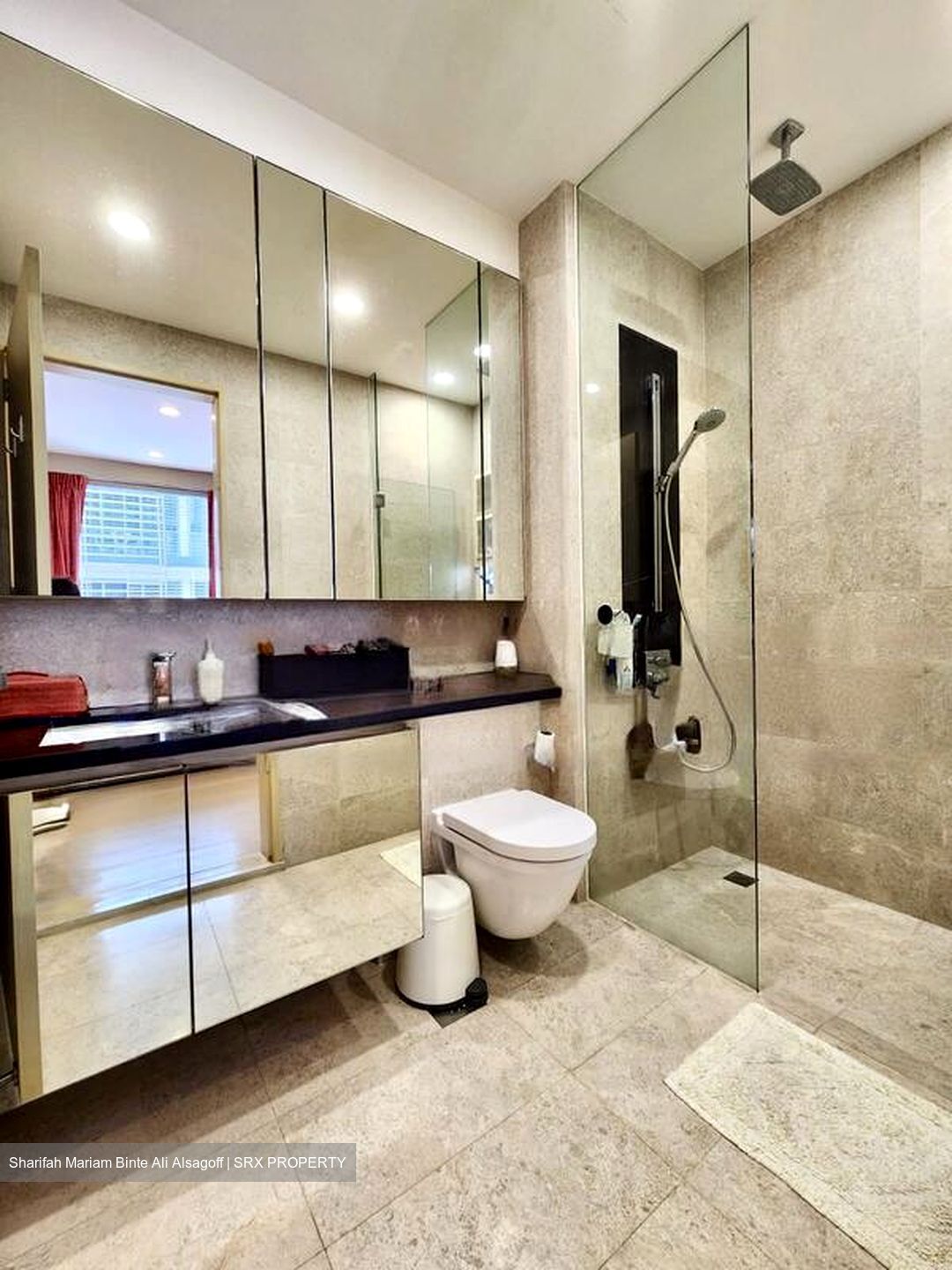 The Boutiq (D9), Apartment #474061411